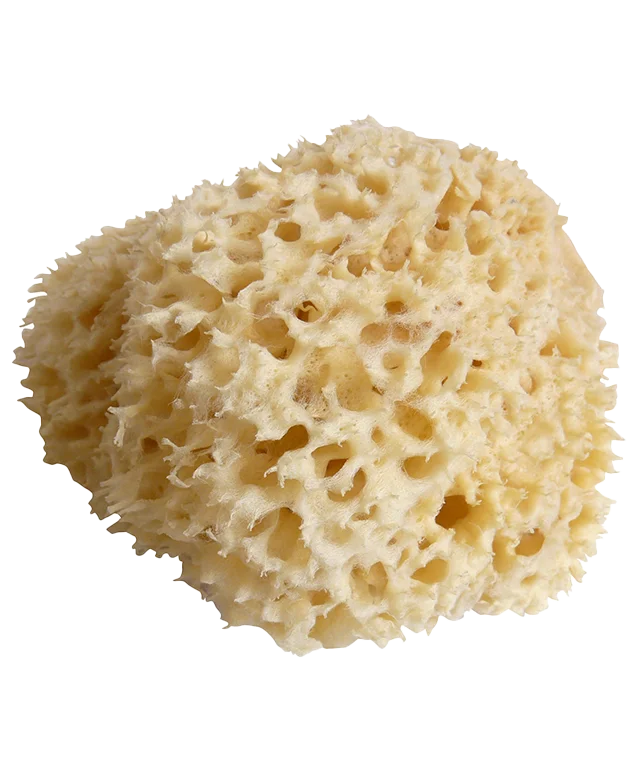 Éponge de mer naturelle contre un savon d'Alep authentique, sur une fouta en coton bio dotée de franges