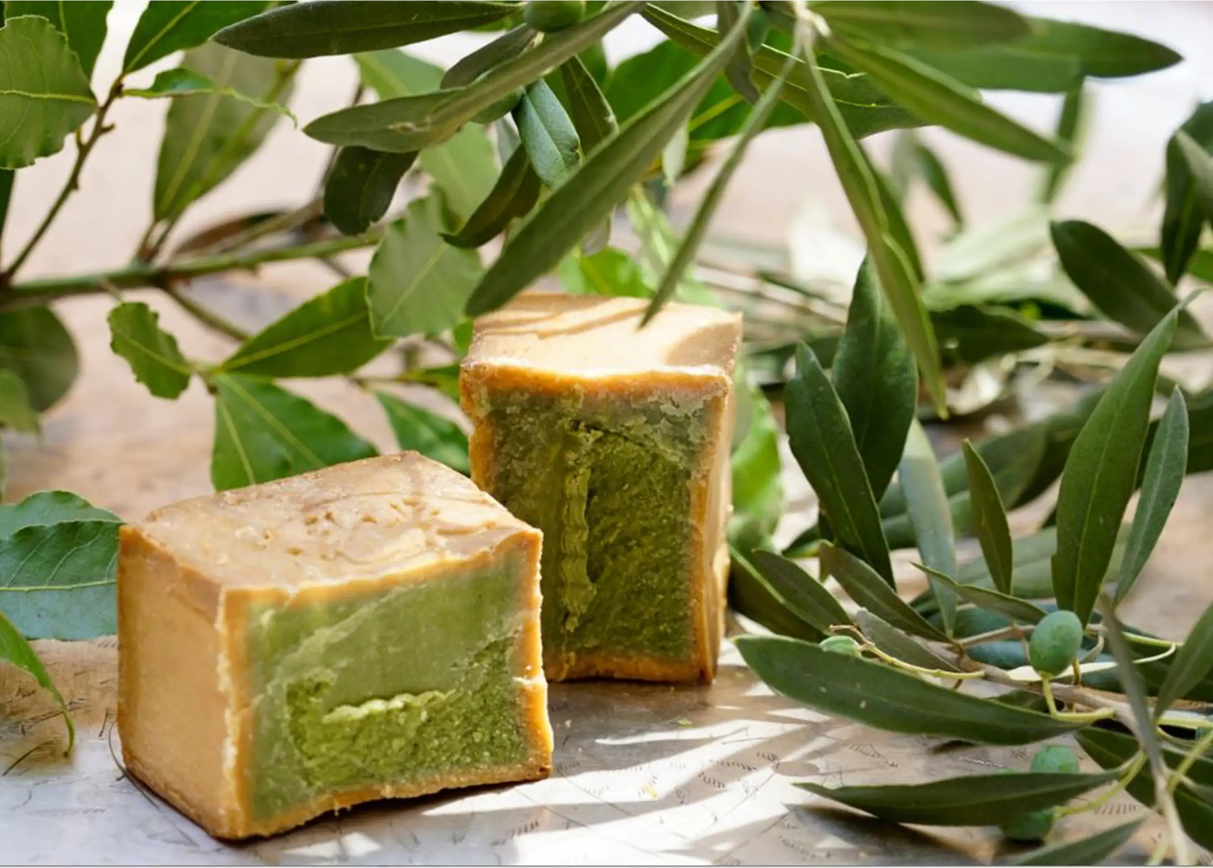 Block of Aleppo soap cut in half, and olive branches