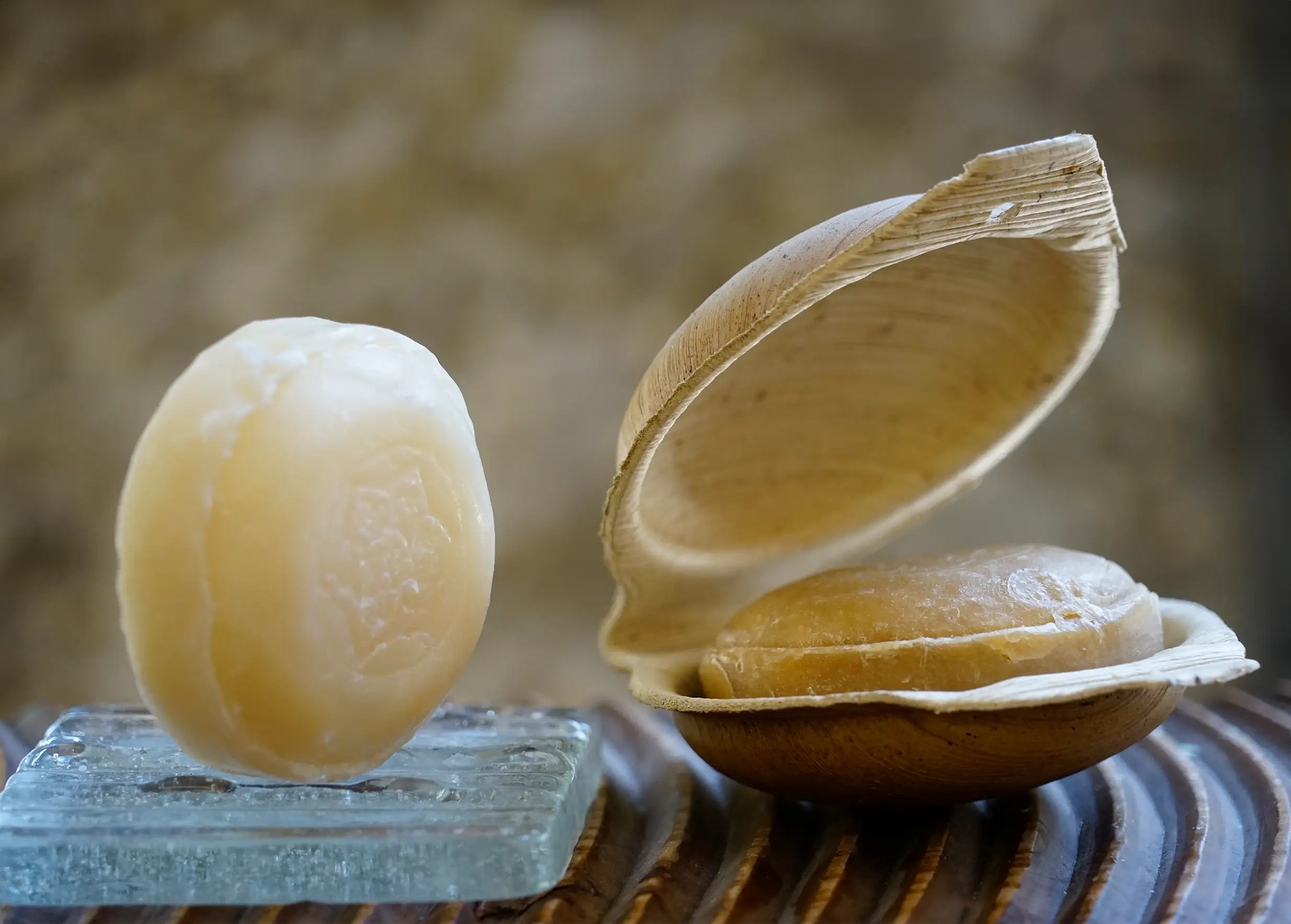 Savon ayurvédique basilic sacré sur un porte savon et savon dans sa coque végétale