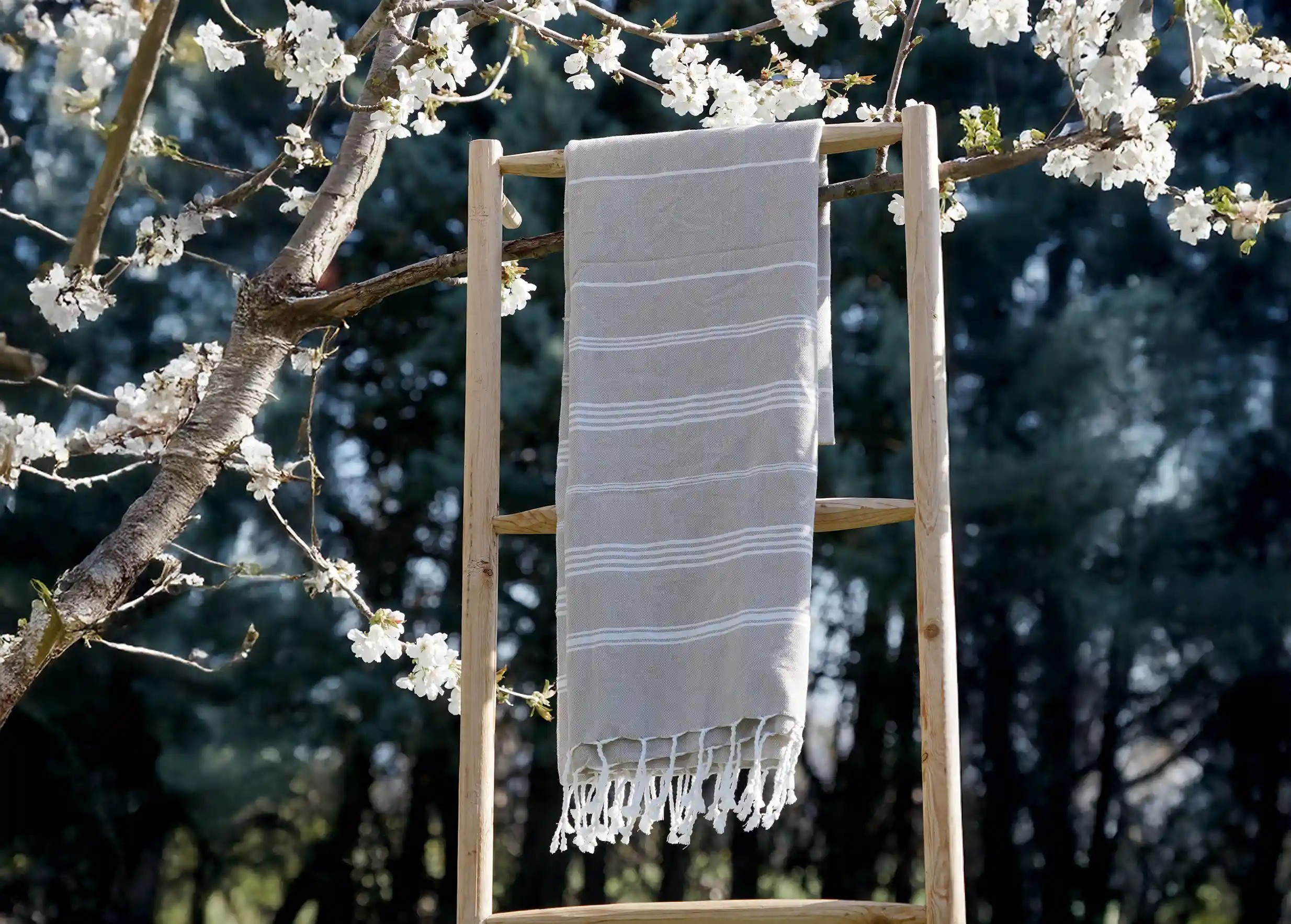 Fouta en coton bio coloris taupe suspendue à une branche d'arbre, cadre printanier et arrière-plan de verdure Fouta en coton bio coloris taupe suspendue à une branche d'arbre, cadre printanier et arrière-plan de verdure