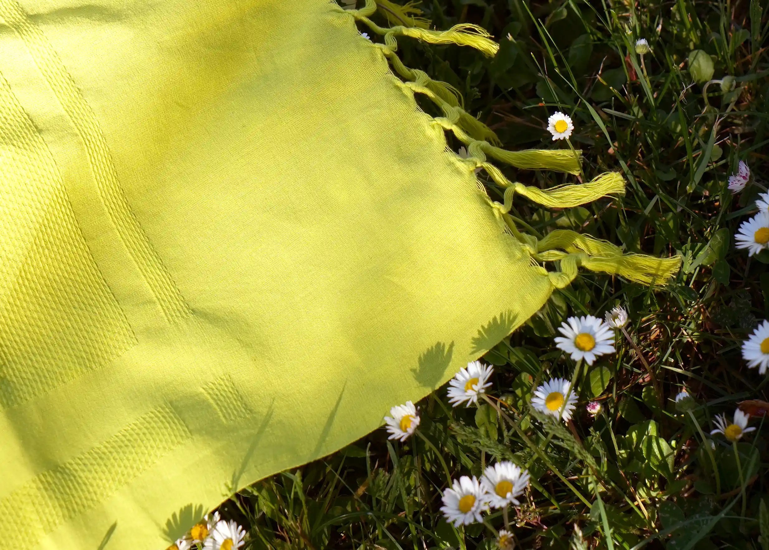 Fouta en coton bio Basilic, collection Kochi, au sol sur l'herbe