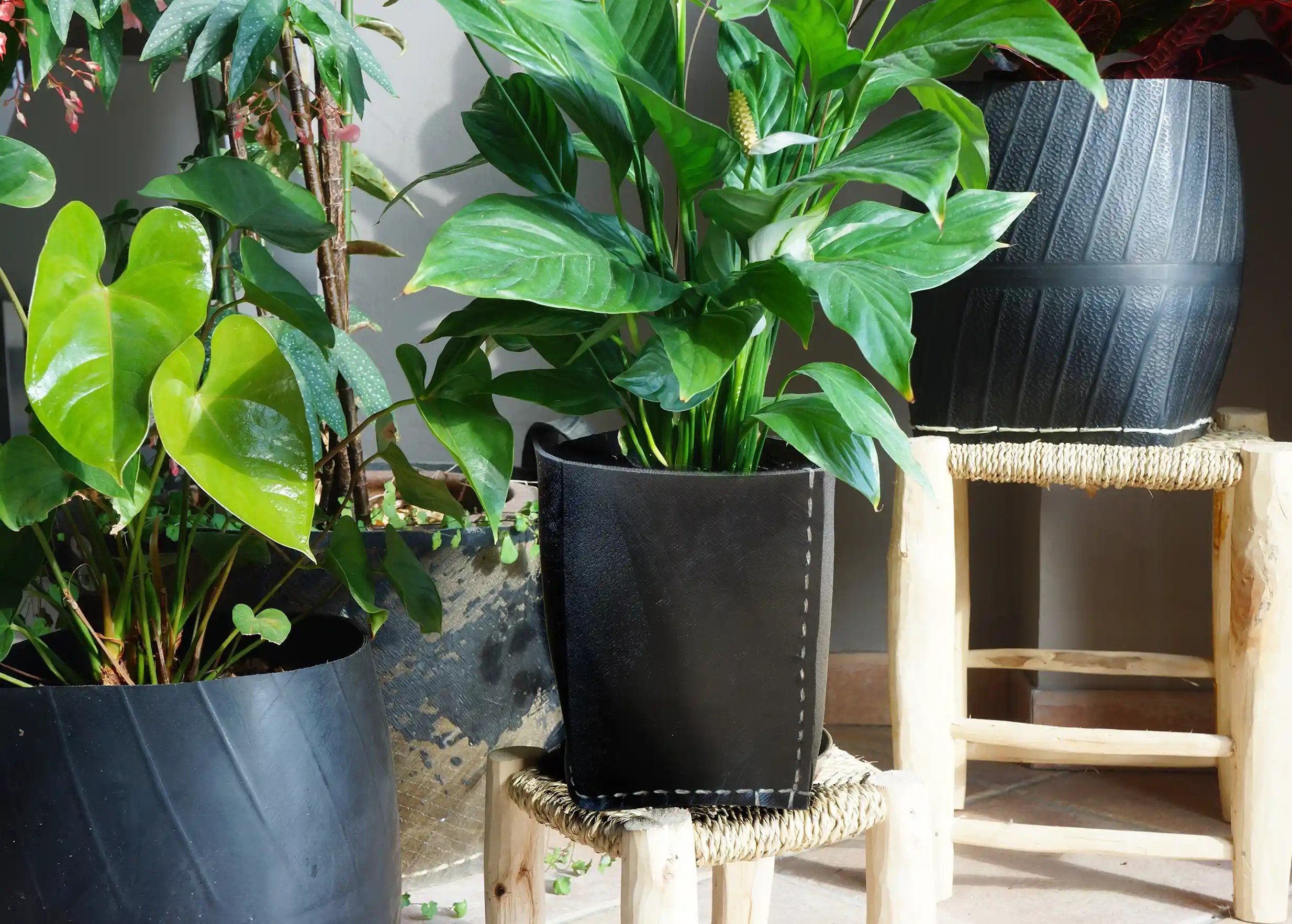 Collection of tyre storage units by Karawan, with several green plants
