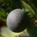Holy Basil and bamboo charcoal Softening care pouch