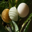 Olive and Laurel Balancing care pouch