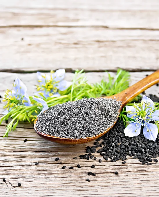 Nigella in three forms: powder, seed and plant